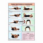 Pawanmuktasana and Chakrasana Chart